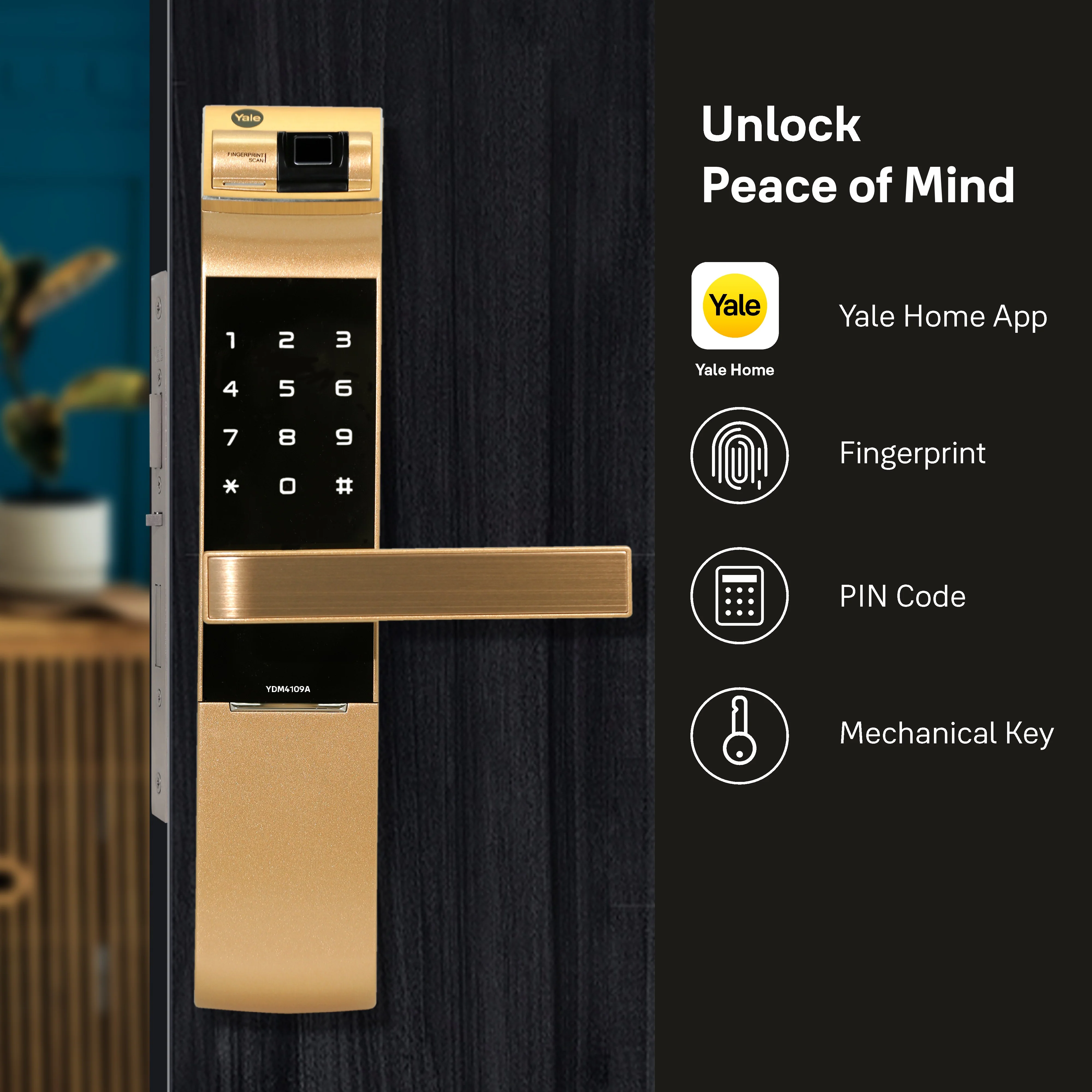 YDM 4109- A Series, Biometric Smart Lock, Gold - Image 6